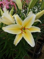 [5525 PO25 Galapagos No02.JPG]